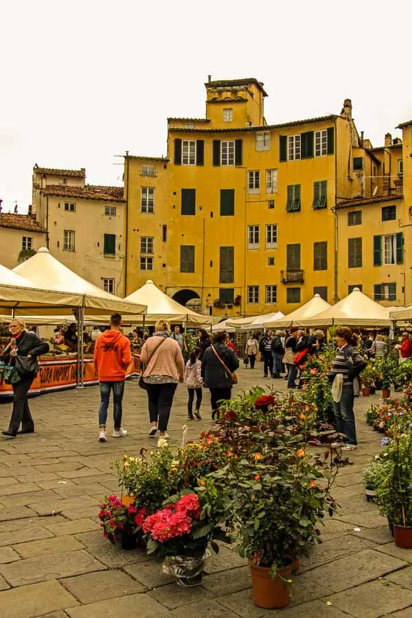 Exploring Lucca with kids - flower market in Anfiteatrp Plaza