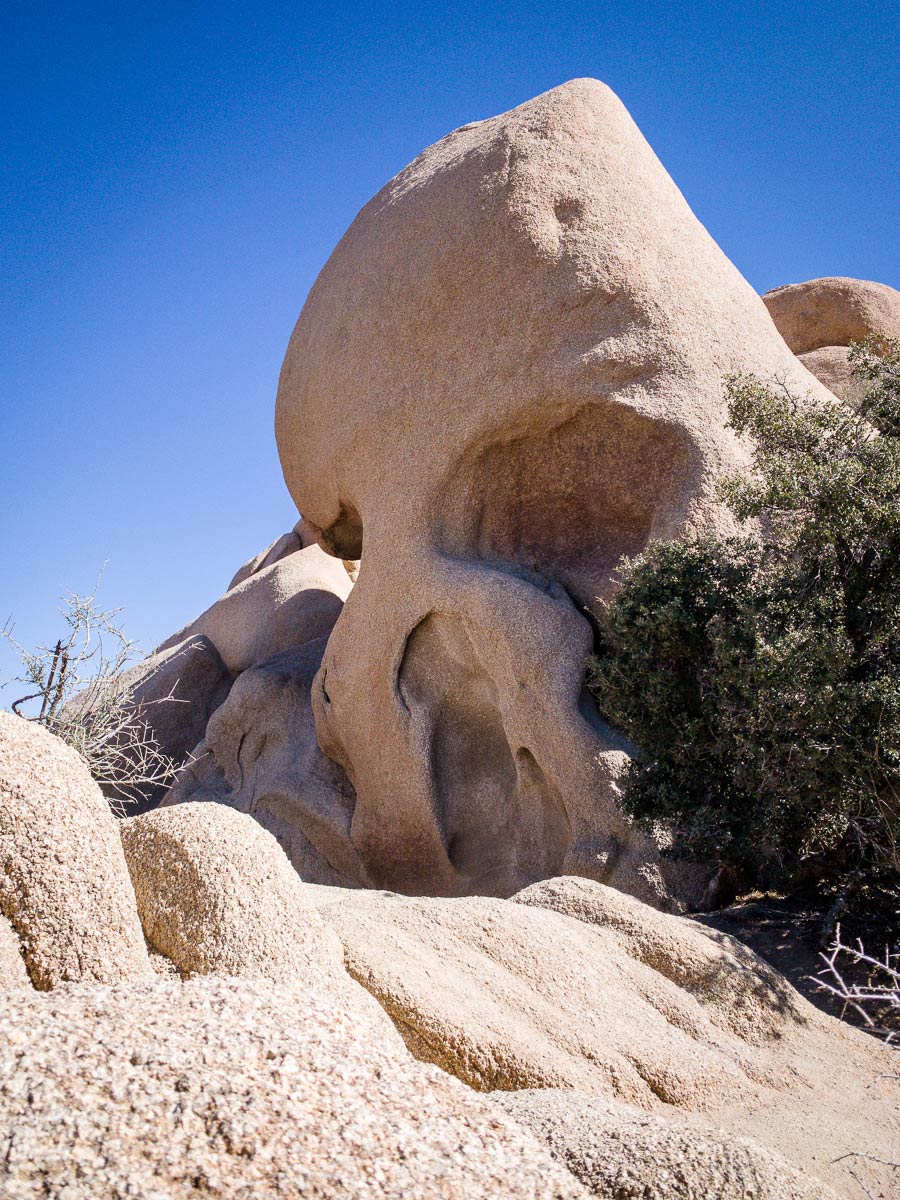 Image of Skull Rock - Joshua Tree National Park, California