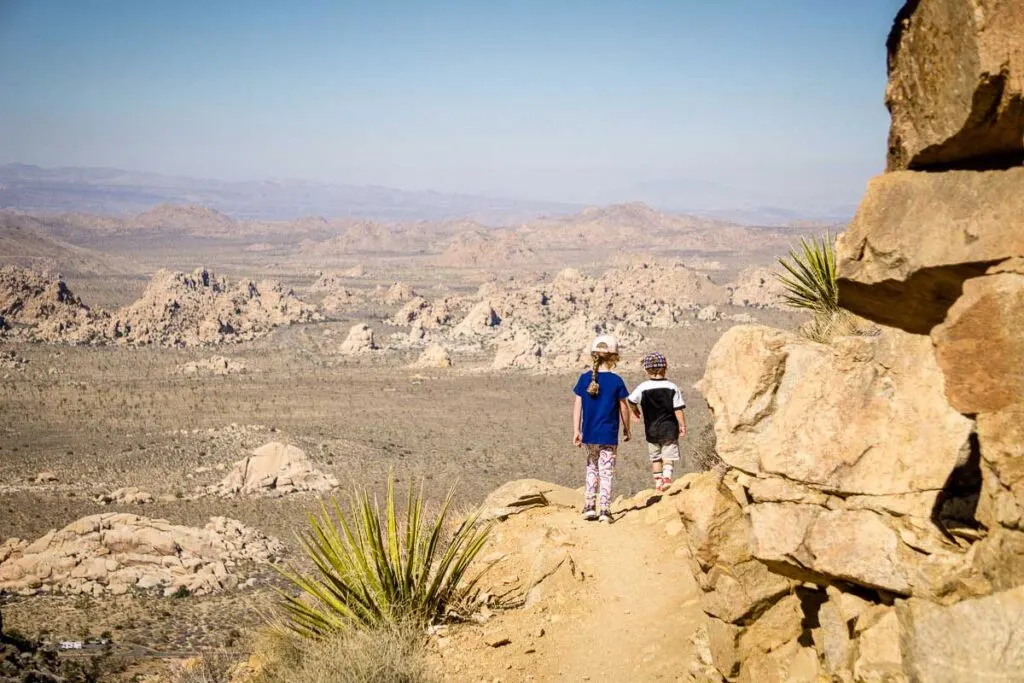 things to do in joshua tree national park for kids