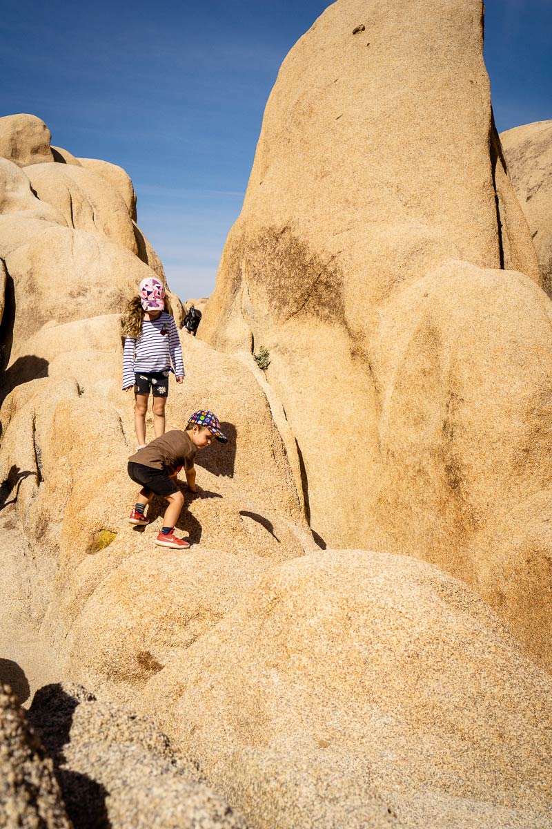 fun activities in Joshua Tree National Park for kids - Arch Rock
