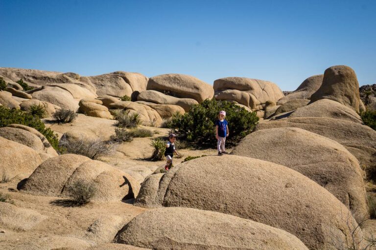 6 Kid Friendly Hikes in Joshua Tree National Park Family Can Travel