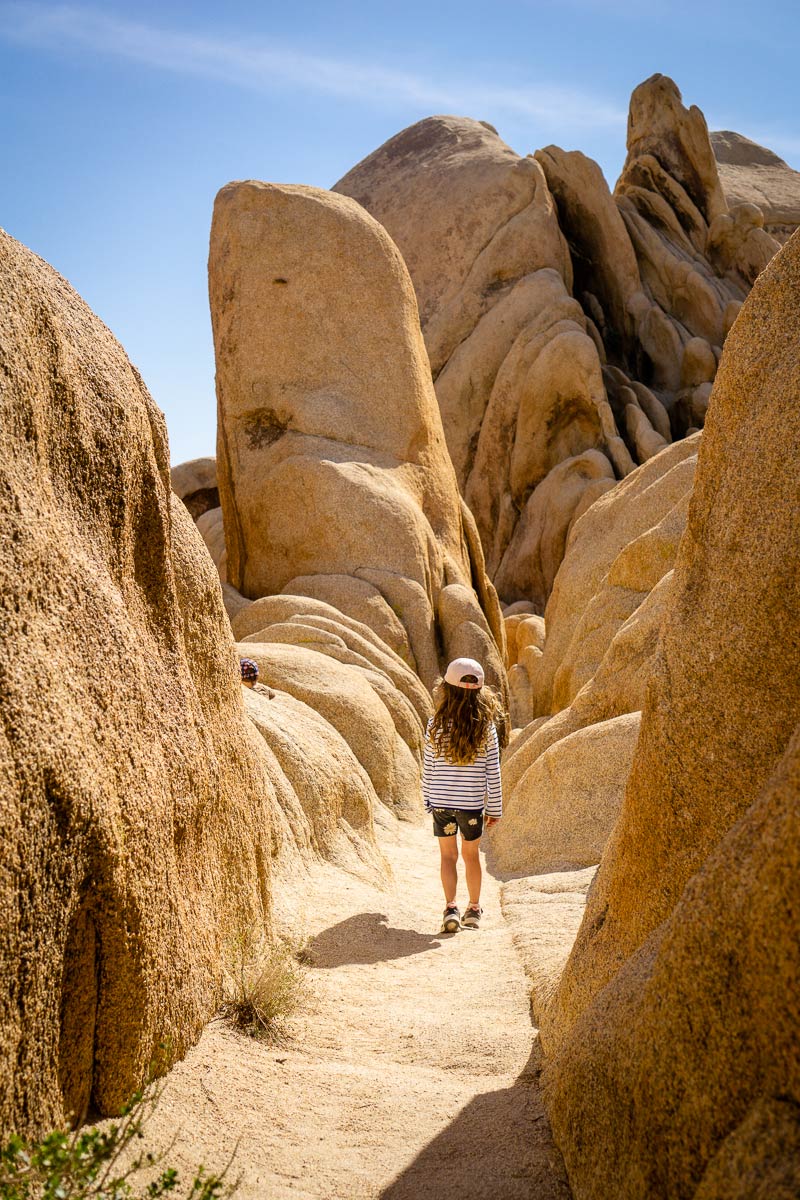 Arch Rock Trail is one of the best hikes in Joshua Tree for families