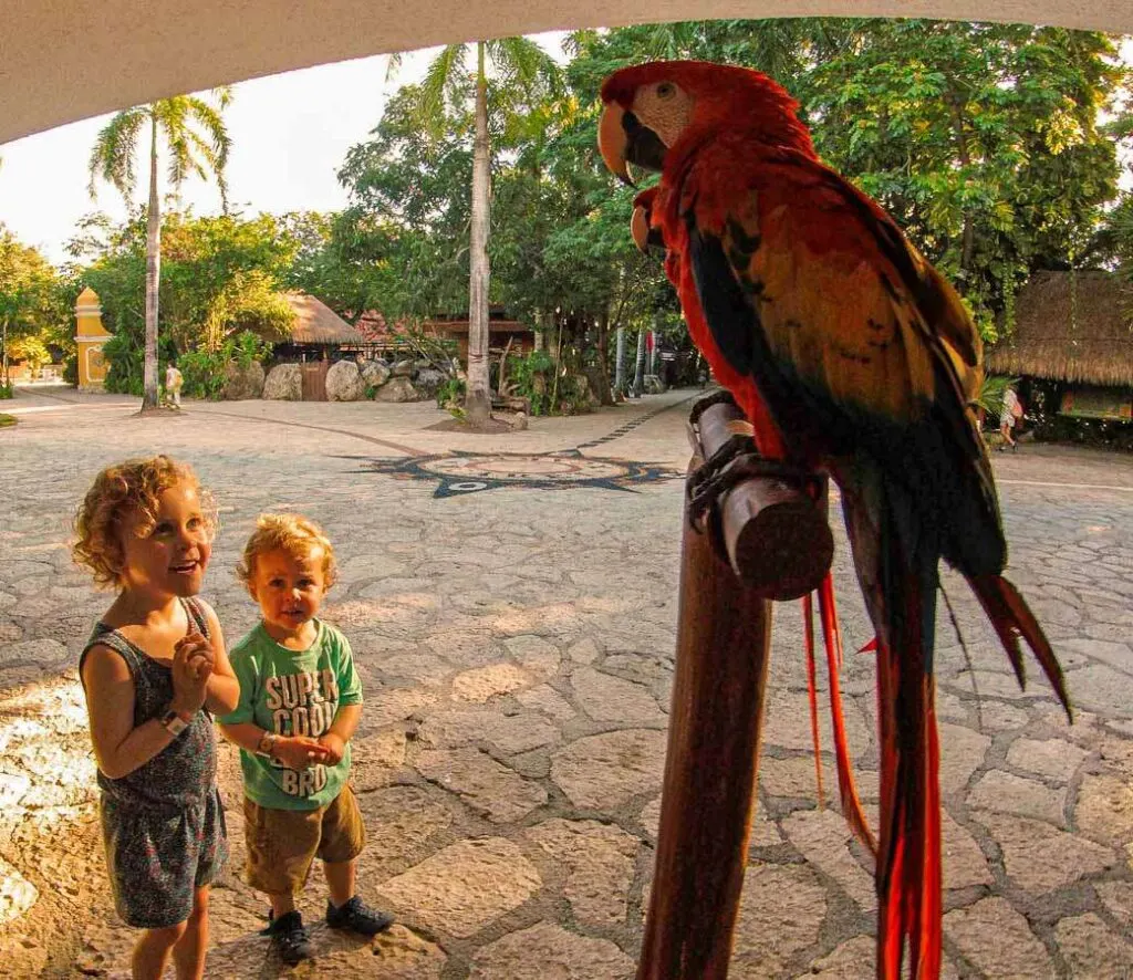 These colorful Xcaret birds made our daughter smile
