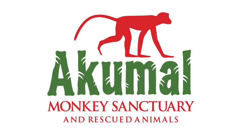 Akumal Monkey Sanctuary and Rescued Animals - Eco Park Mexico
