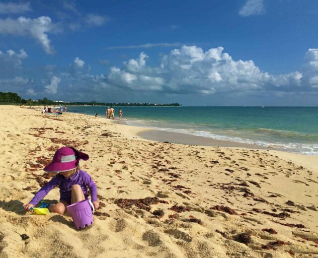 The 6 Best Public Beaches in Playa del Carmen Family Can Travel