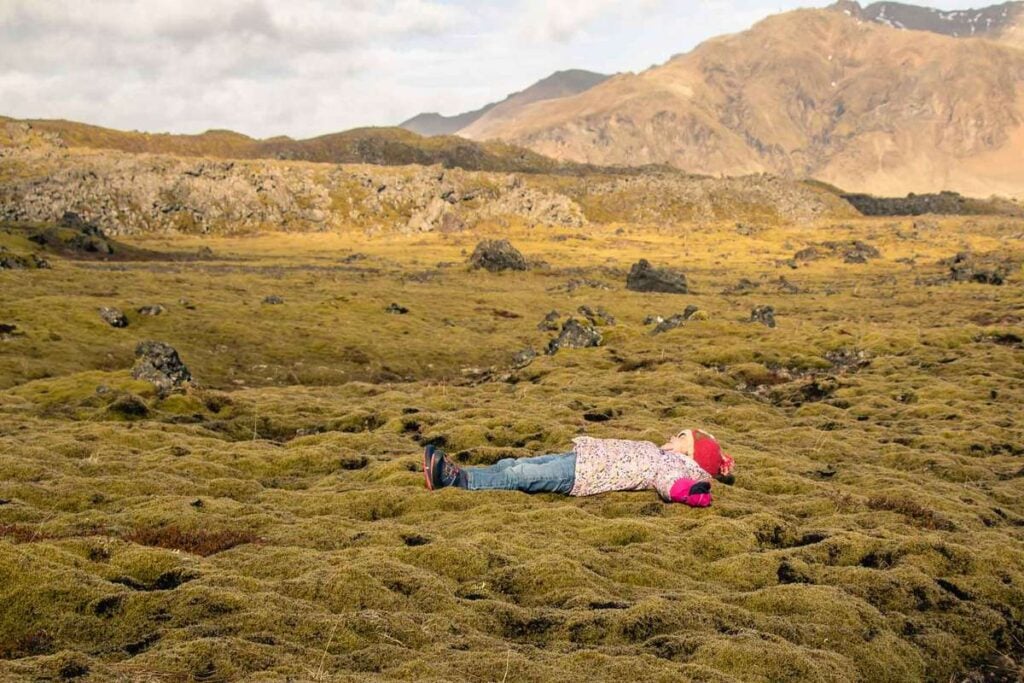things to do on the Snaefellsnes Peninsula with kids - Berserkjahraun Lava Fields