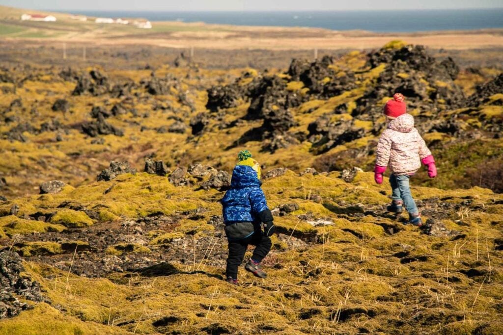 Things to do in Snaefellsnes Peninsula with Kids - Berserkjahraun Lava Fields in Iceland