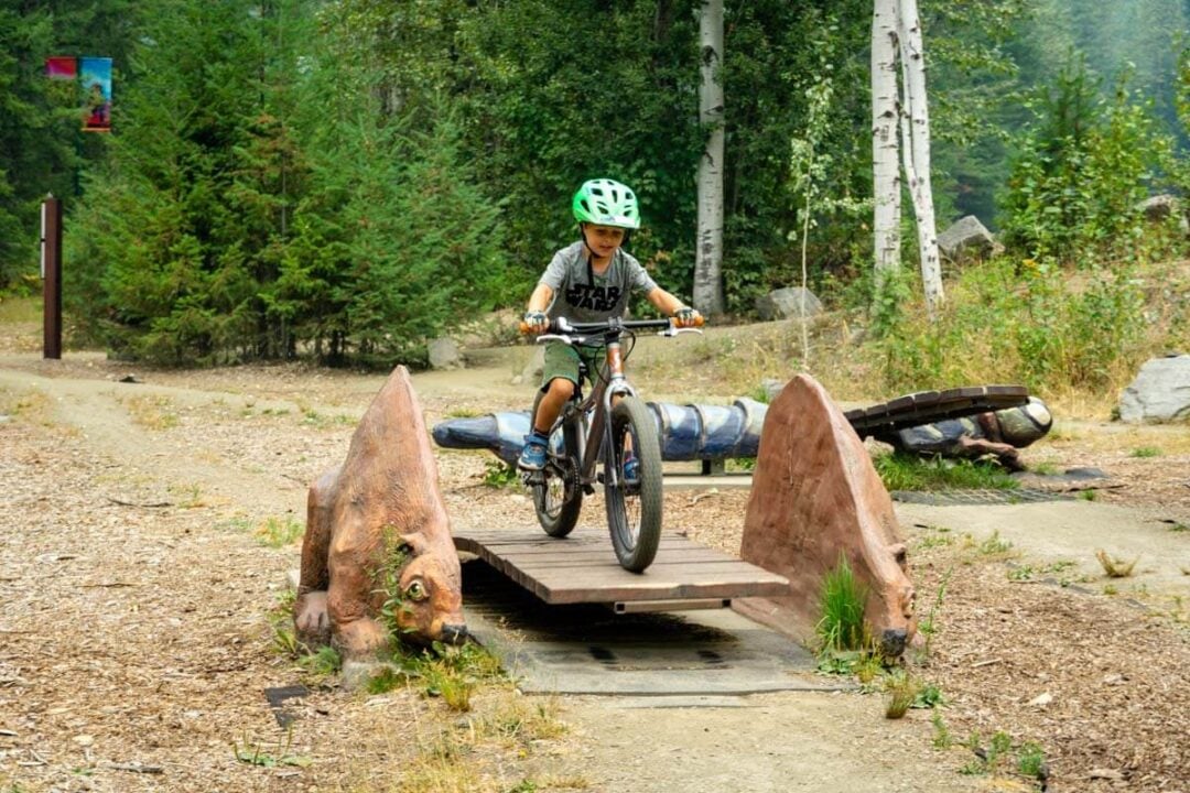 8 Easy Revelstoke Mountain Biking Trails Family Can Travel