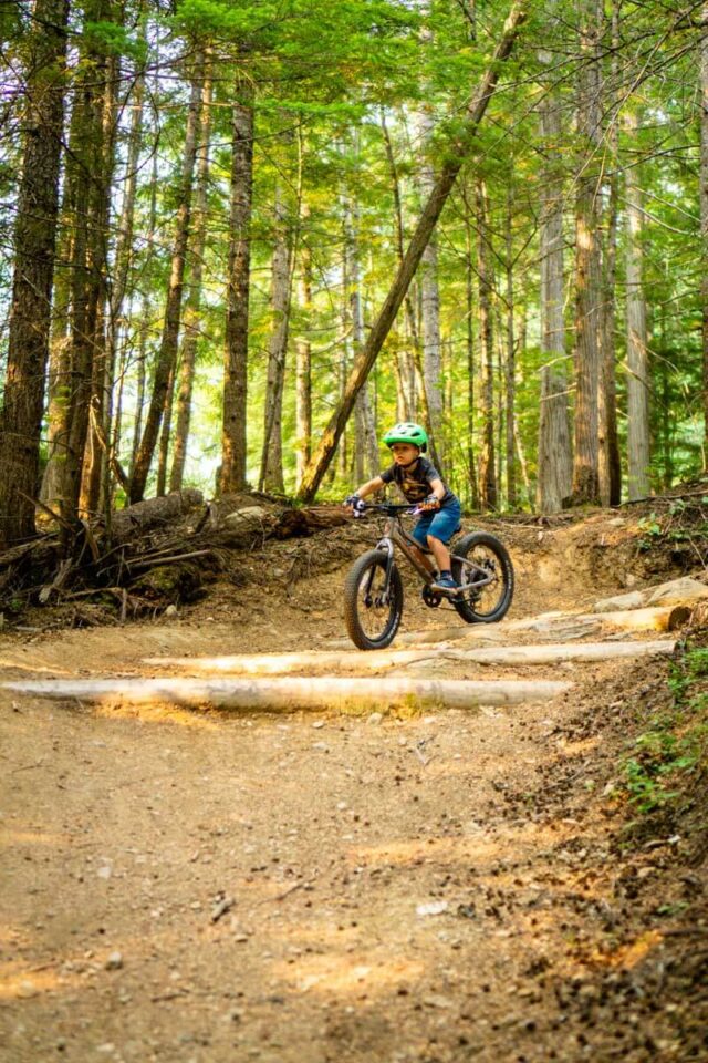 8 Easy Revelstoke Mountain Biking Trails Family Can Travel