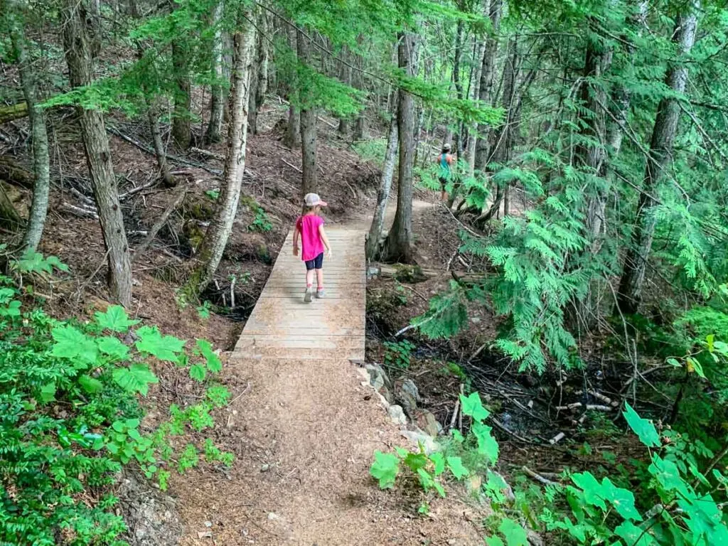 easy hikes in Revelstoke for kids - The Bottoms Up Trail at the Revelstoke Mountain Resort