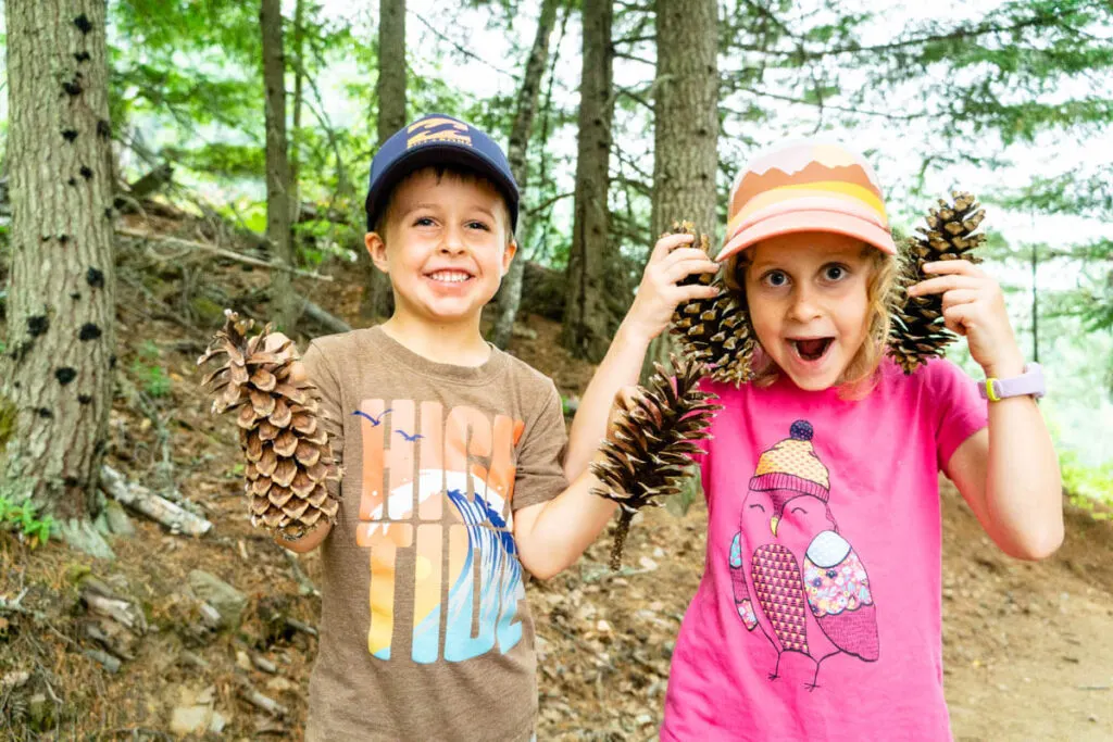 visiting Revelstoke with kids - Bottoms Up hiking trail
