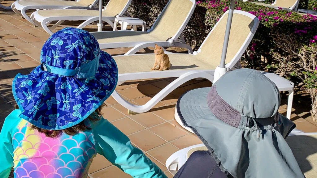 kids in sun hats looking at cat