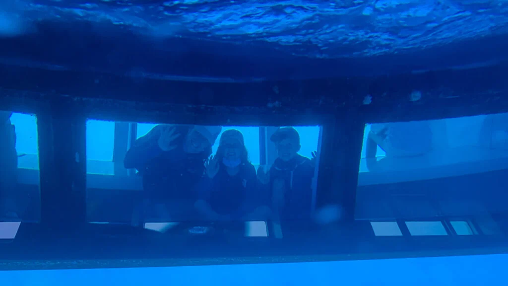 Kids love the underwater viewing areas on this whale watching catamaran in the canary islands
