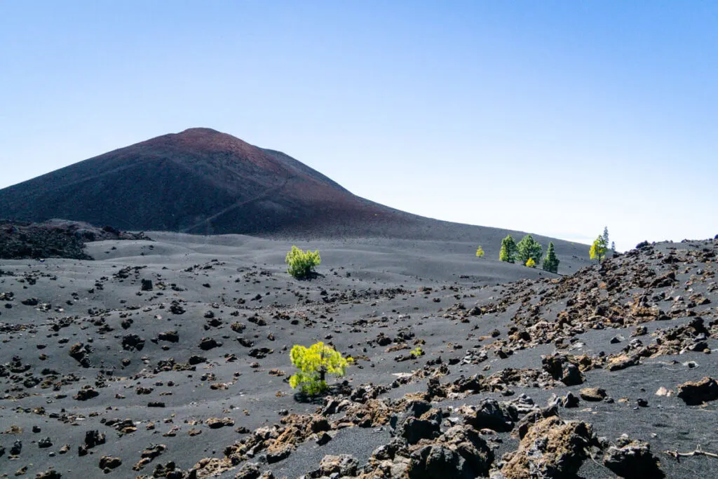best hikes on Tenerife for family outings