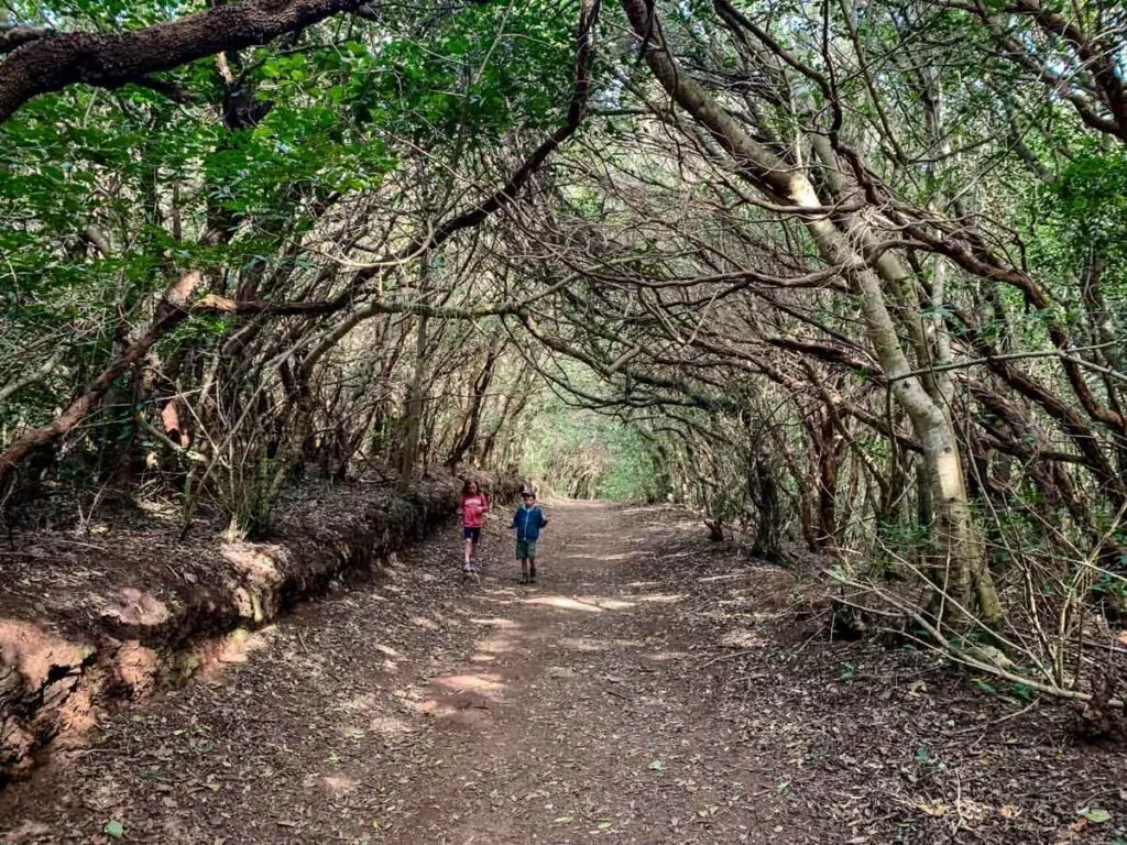 Best easy hikes in Anaga National Park