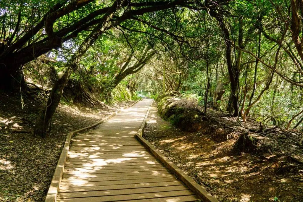 Best family hikes on Tenerife