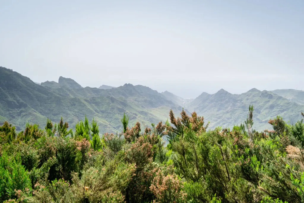short hikes in Anaga National Park, Canary Islands