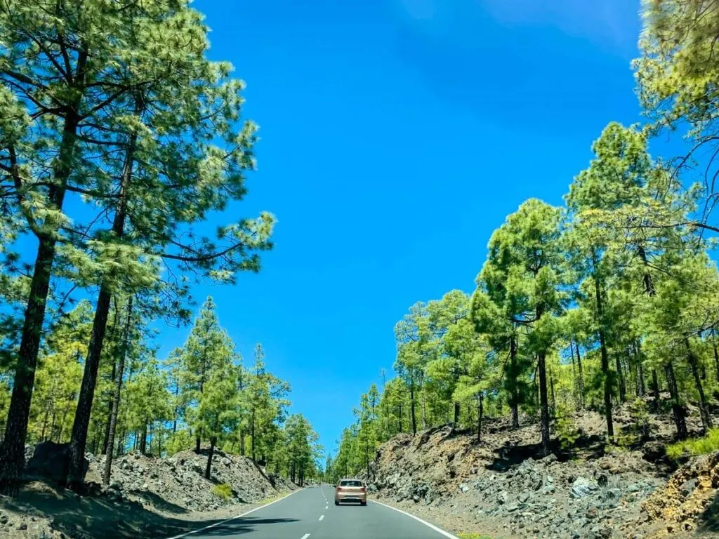 a rental car is best when visiting tenerife with kids