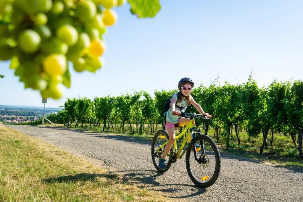 a 9 year old girl on a family cycling trip in Alsace, France