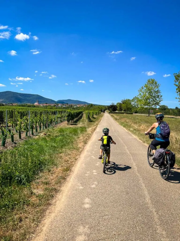 a family enjoys an easy cycling trail in a famous wine region of France