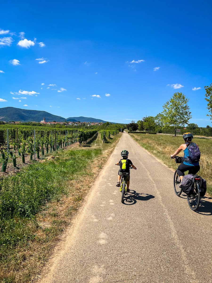 Alsace Family Cycling Holidays in France - Family Can Travel