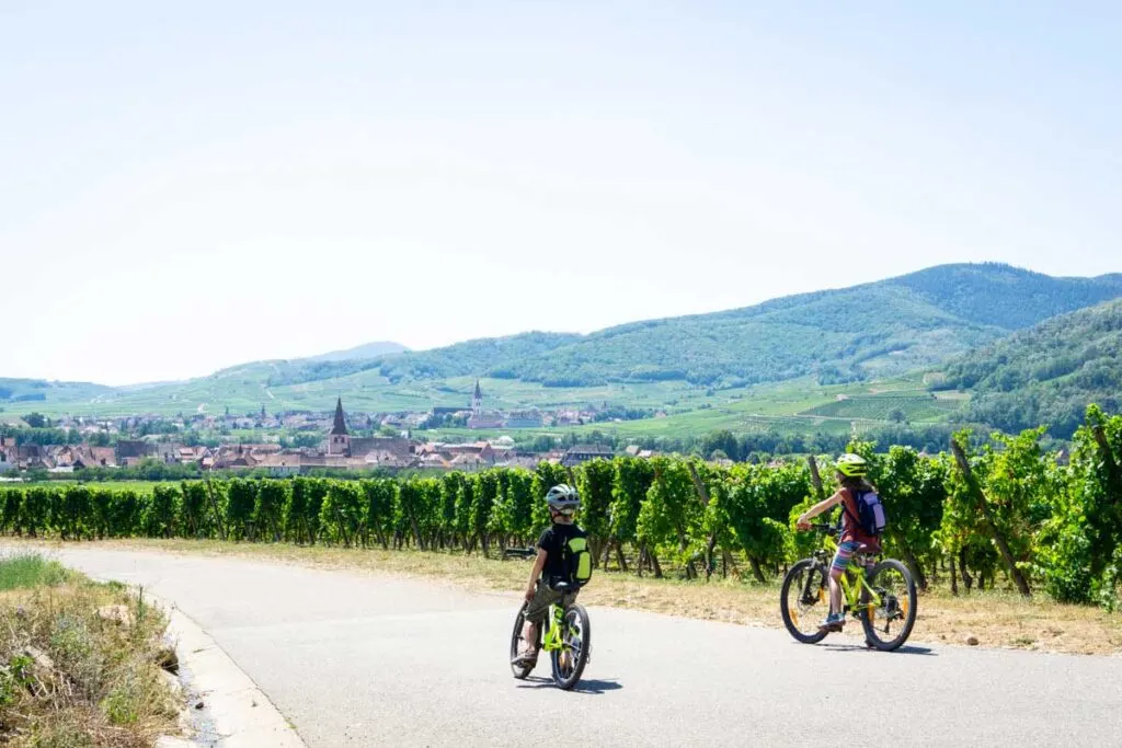 two siblings on bikes stop to enjoy the vineyards outside Colmar, France