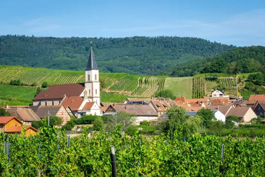 cycling through charming villages in Alsace with kids