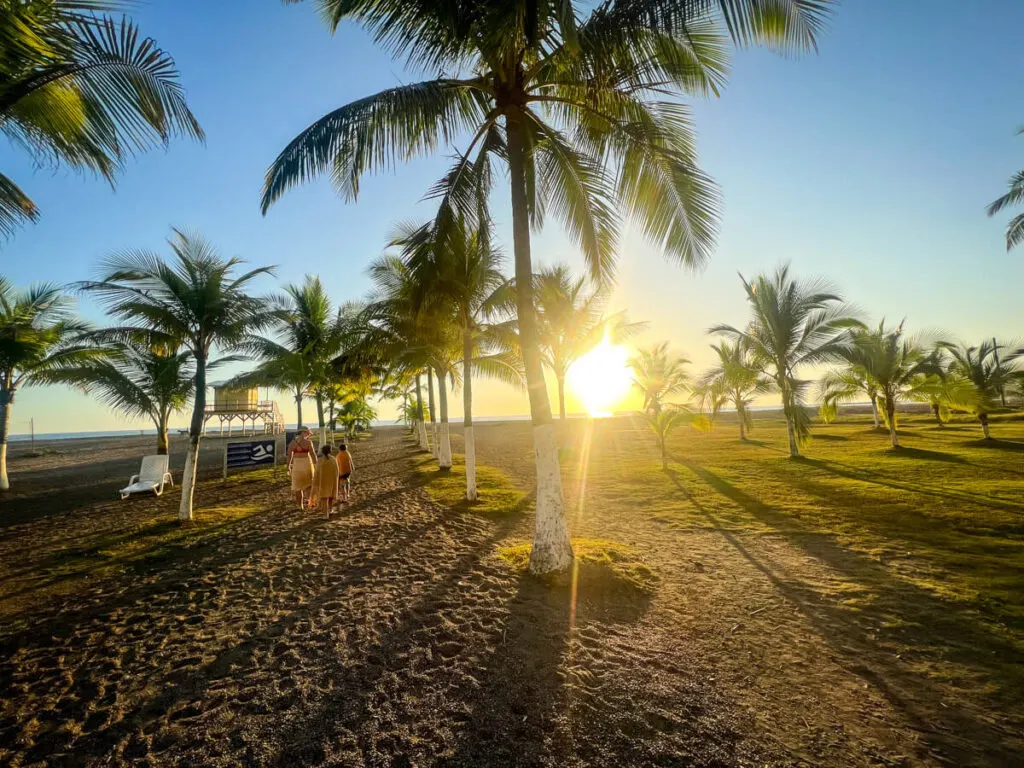 the sun sets behind palm trees on the beach near the Best Western Jaco Beach All-Inclusive Resort