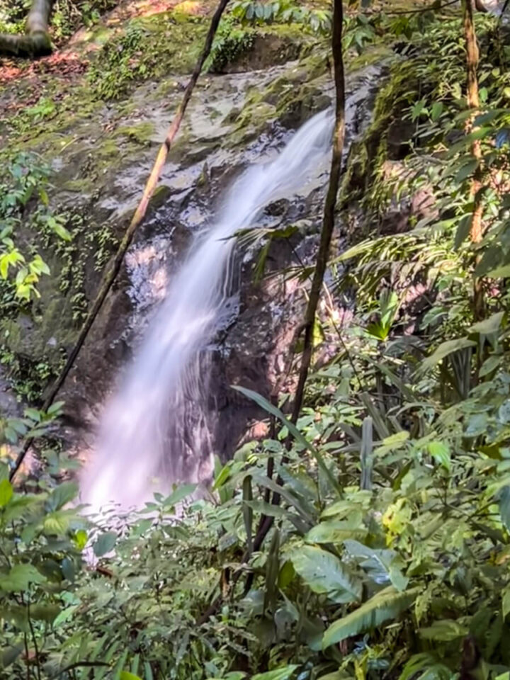 Manuel Antonio National Park with Kids Family Can Travel
