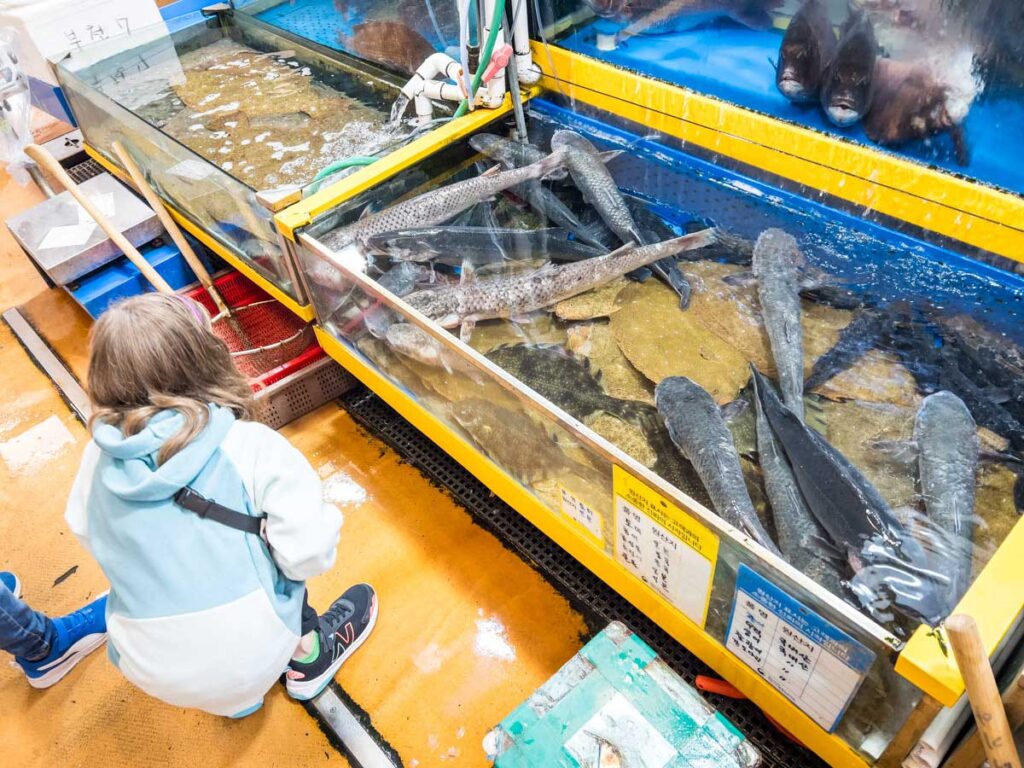 a young girl checks out the exotic fish on display at the Seoul fish market.