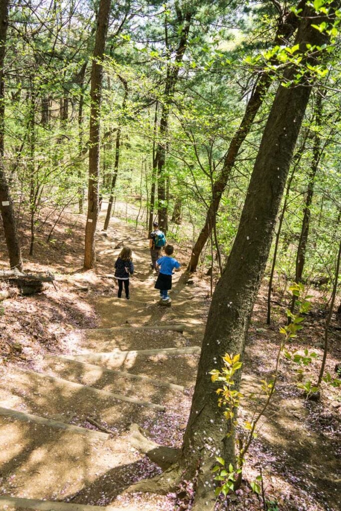 a family enjoys an easy nature walk in Namsan Mountain Park in Seoul, Korea.