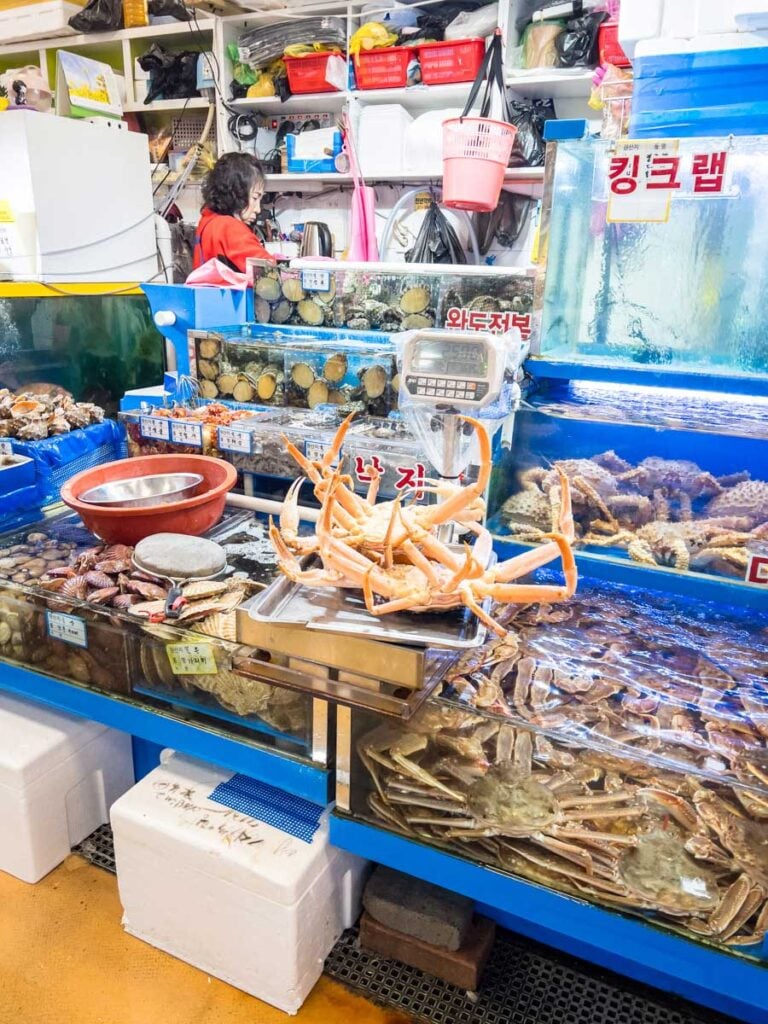 Two very large king crabs on display at the fish market in Seoul, South Korea.