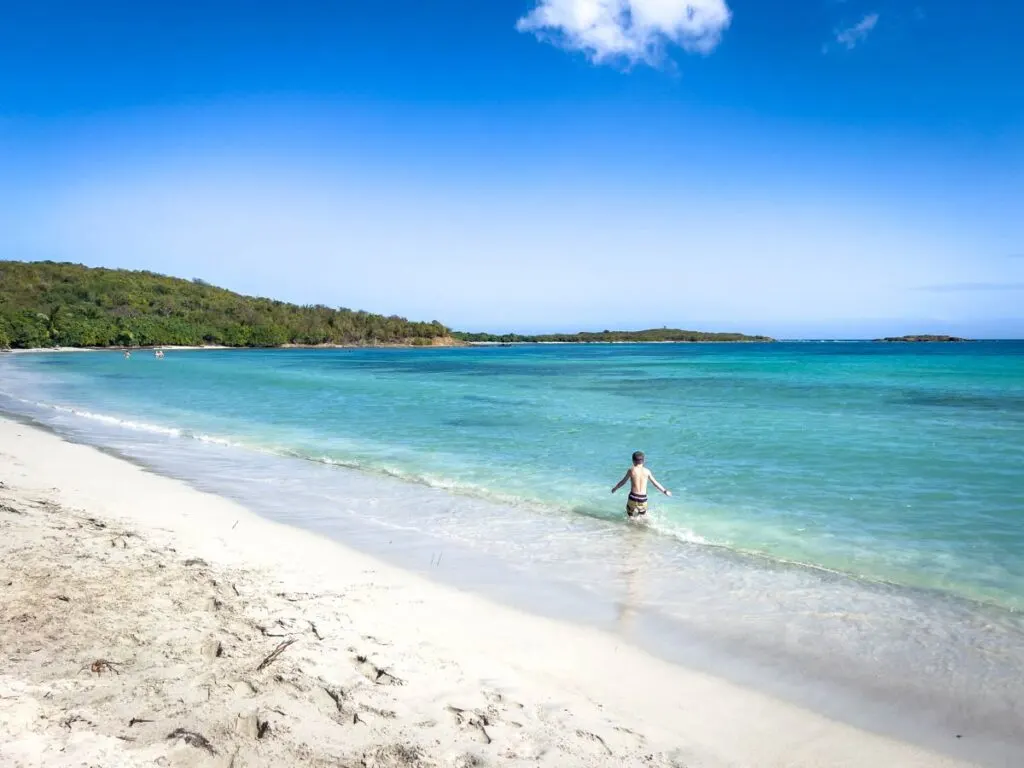 a boy plays in the gentle surf at Playa La Chiva Beach in Vieques, Puerto Rico.