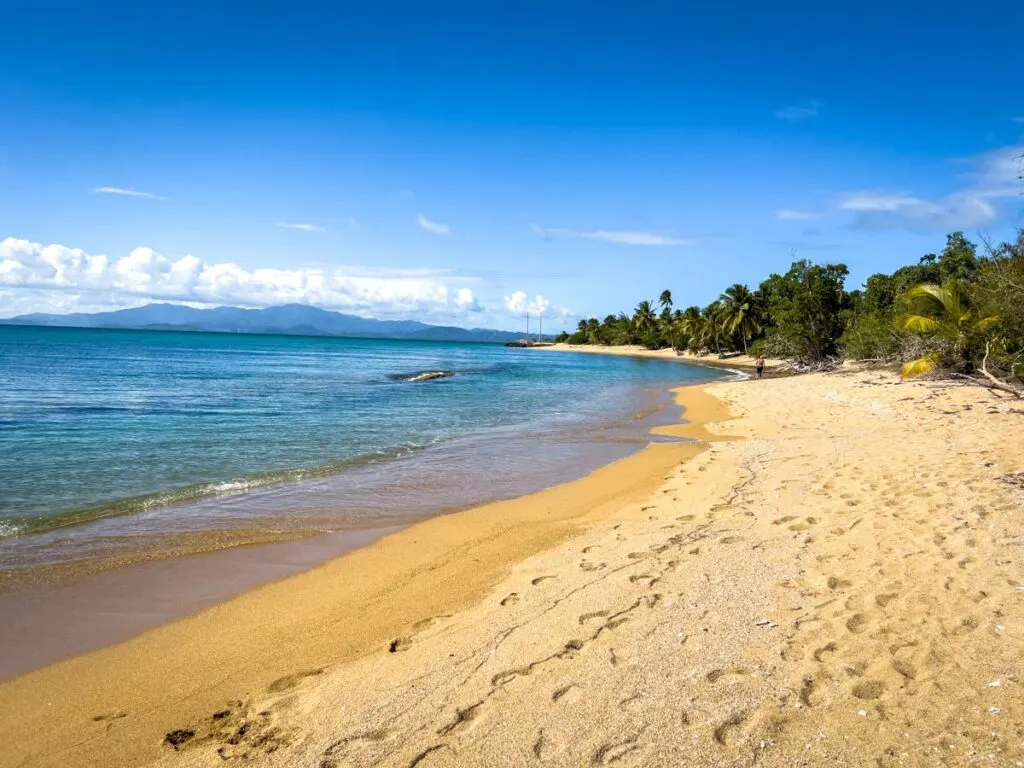 the calm water at Playa Punta Arenas beach is perfect for kid-friendly snorkeling tours.