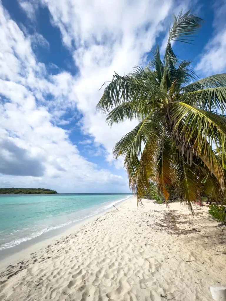 a deserted stretch of La Chiva Beach, Vieques, Puerto Rico.