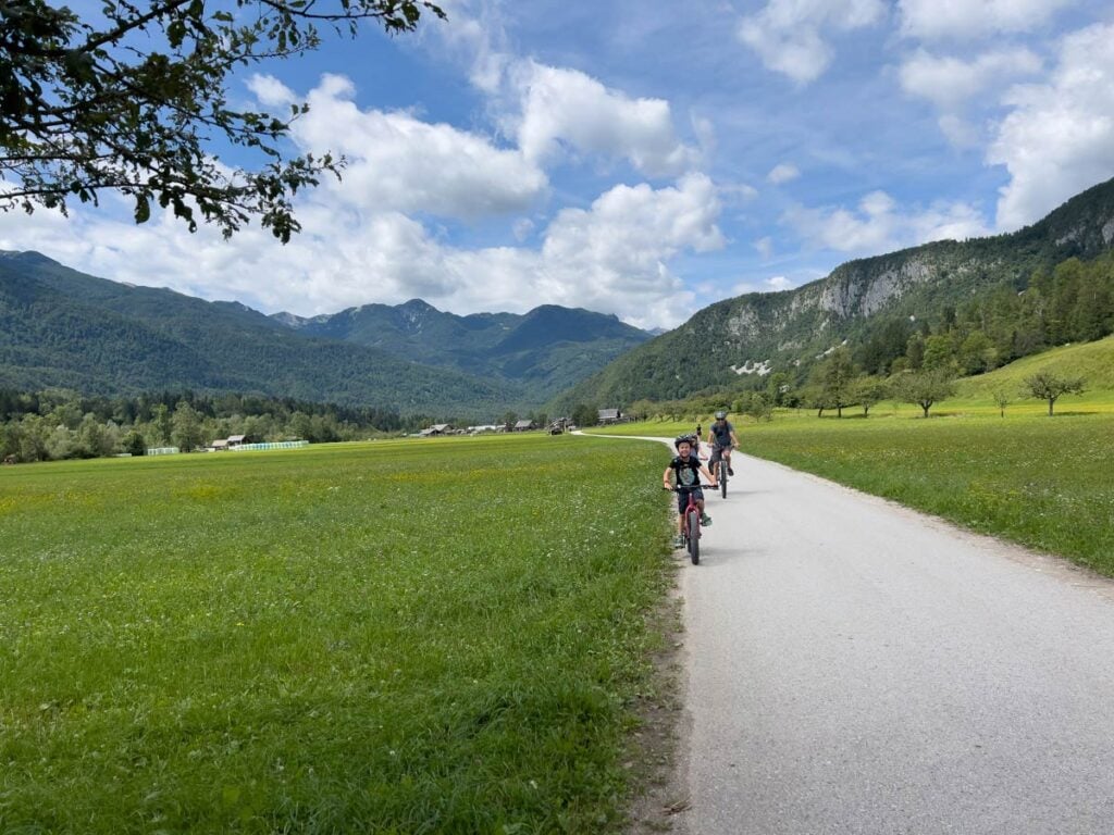 the number of wildflowers on our Slovenia bike tour was staggering.