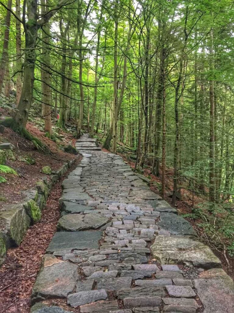 a paved trail through a beautiful forest on the Sandviksfjellet hiking trail in Bergen, Norway.