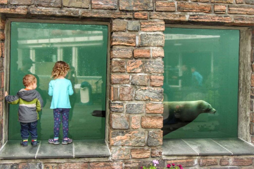 a playful sea lion swims past two young children at the Bergen Aquarium.