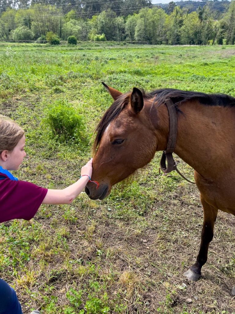 A 10-year old girl takes a break from her family hike along the Portuguese Camino Trail to pet a horse.