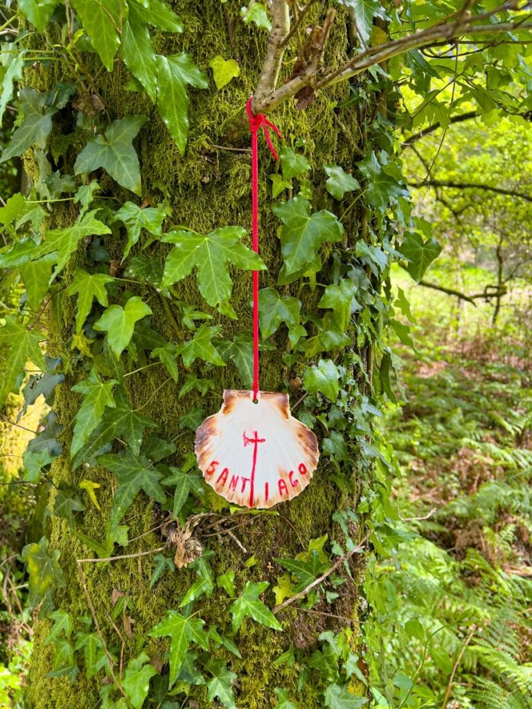 A Scallop shell with the word "Santiago" hangs from a lush tree in the forest along the Portuguese Coastal Comino Route.