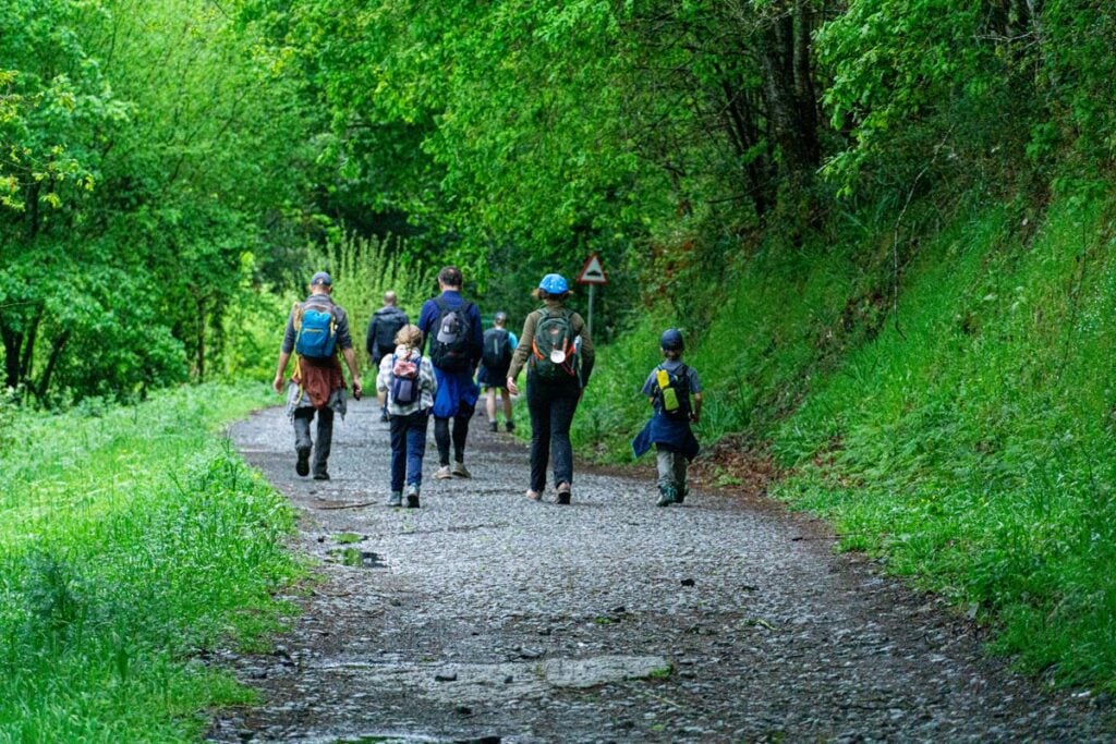 Pilgrims walk the Portuguese Coastal Camino Trail through a lush forest.