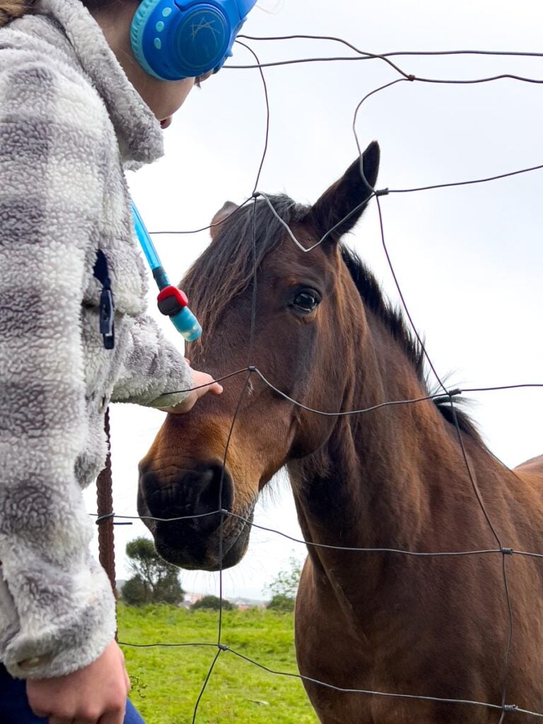 A 10-year old girl hiking the camino de santiago portuguese coastal route with her family, stops to pet a friendly horse on the nose.