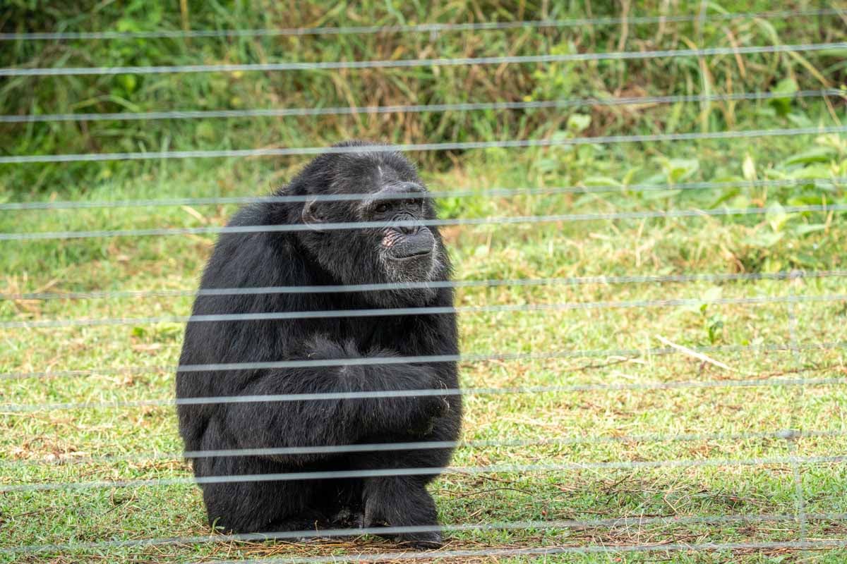 Exploring Kenya with Kids: A Family's Guide to Safari Adventures ...
