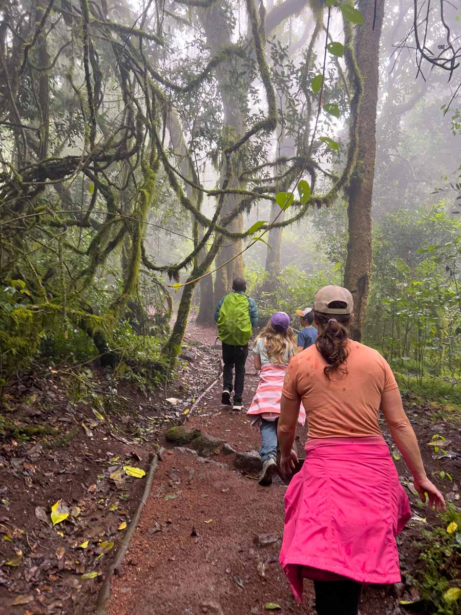 Family hiking on the forested slopes of Mount Kilimanjaro