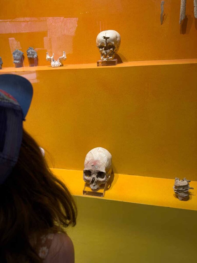 an 11-year old girl looks at a skull damaged in battle at the museum at Monte Alban in Oaxaca, Mexico.