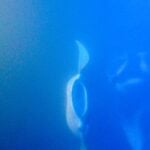 DCIM107GOPROGOPR4582.JPG Two manta rays begin to barrel roll on a nighttime snorkeling tour with manta rays on the Big Island.