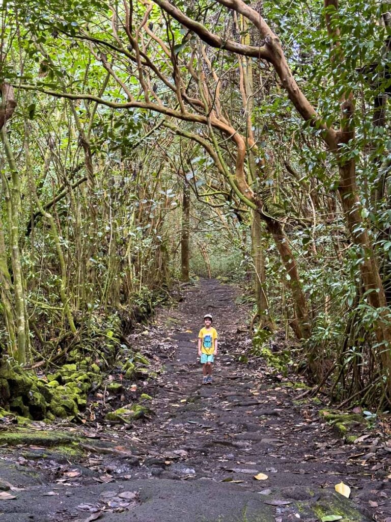 A 9-year old boy on a family vacation to Hawaii enjoys hiking on the Puna Trail.