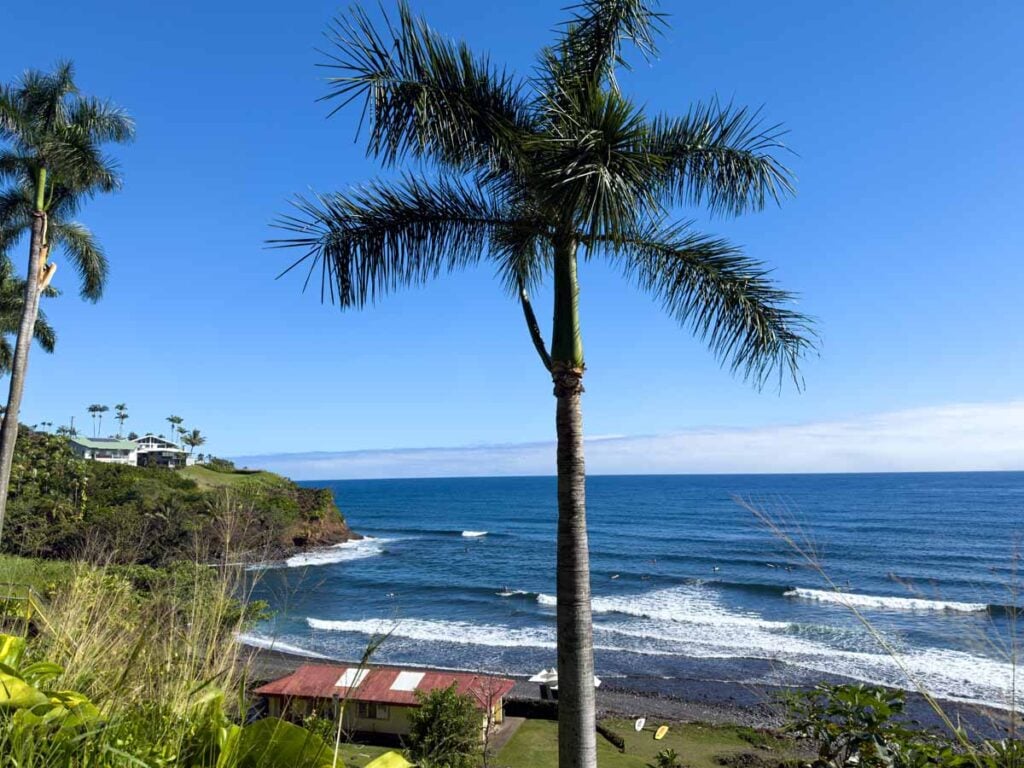 An aerial view of Honoli'i Beach Park with a palm tree in the foreground.