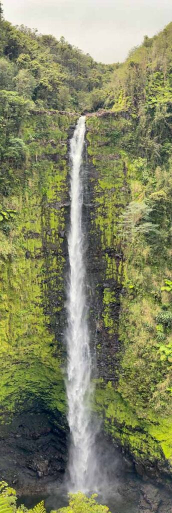 a vertical panorama photo of Akaka Falls at Akaka Falls State Park on the Big Island of Hawaii.