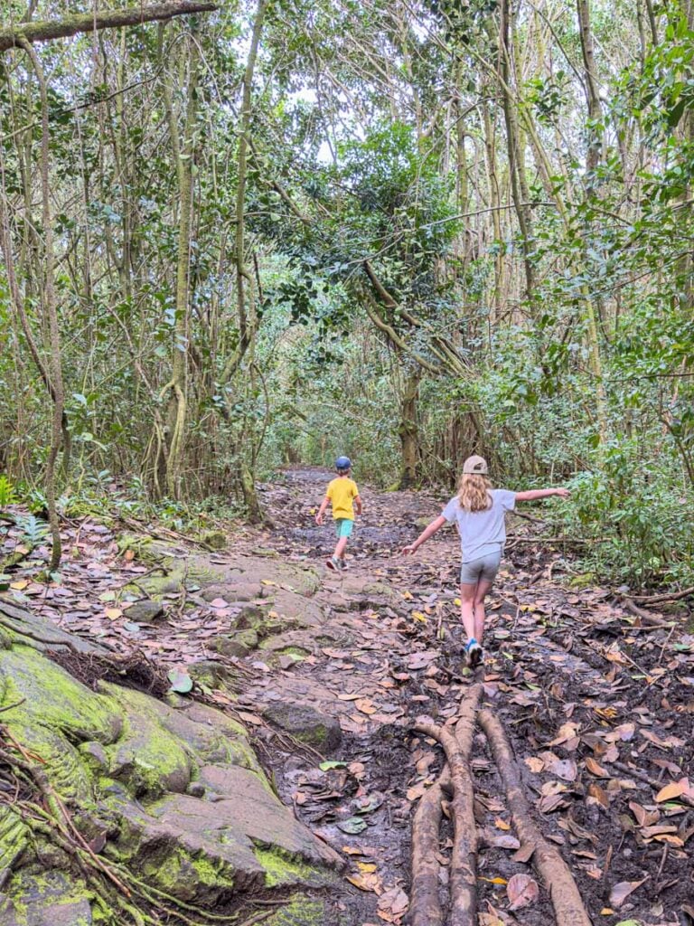 Two kids have fun while hiking the Puna Trail while on a family trip to Hawaii.